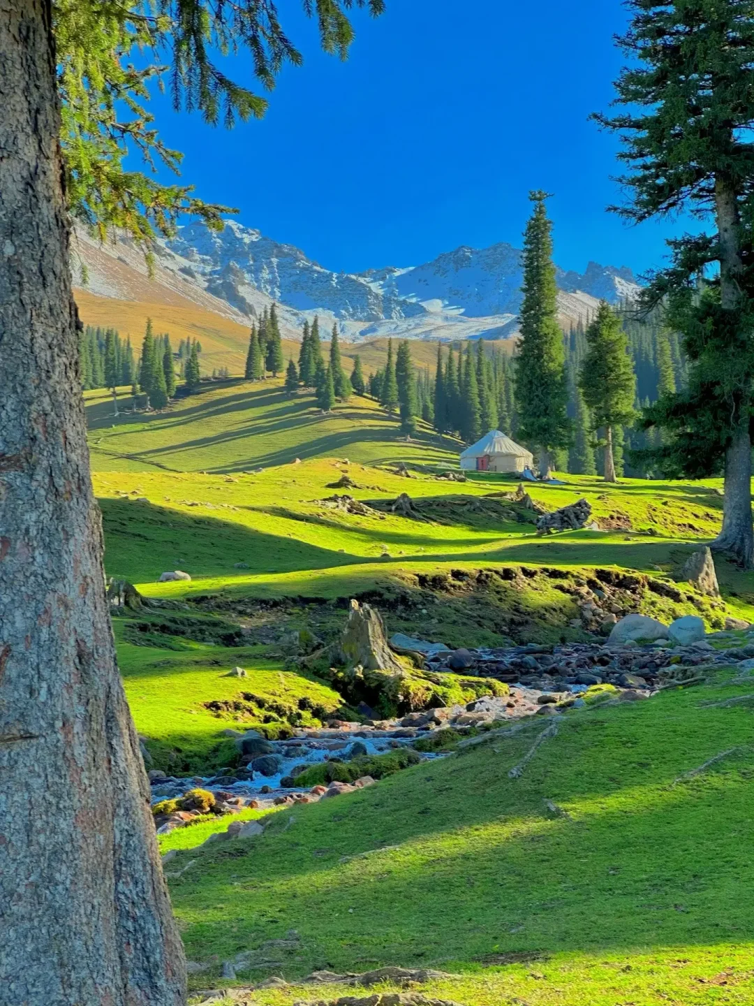 新疆逃难已回，说点让人奔溃的😭事