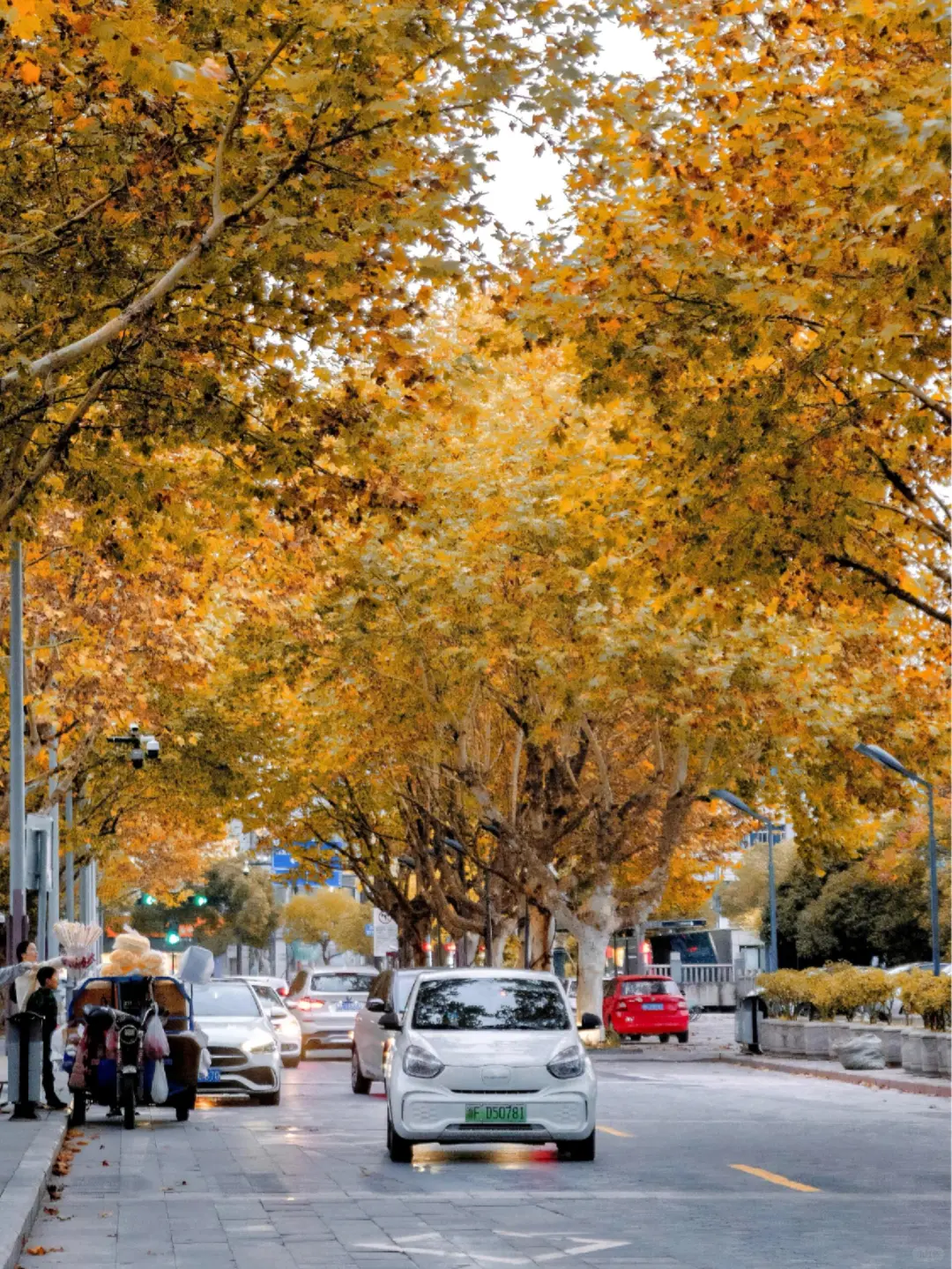 江浙沪五一个反向旅游地，主打一个冷门小众