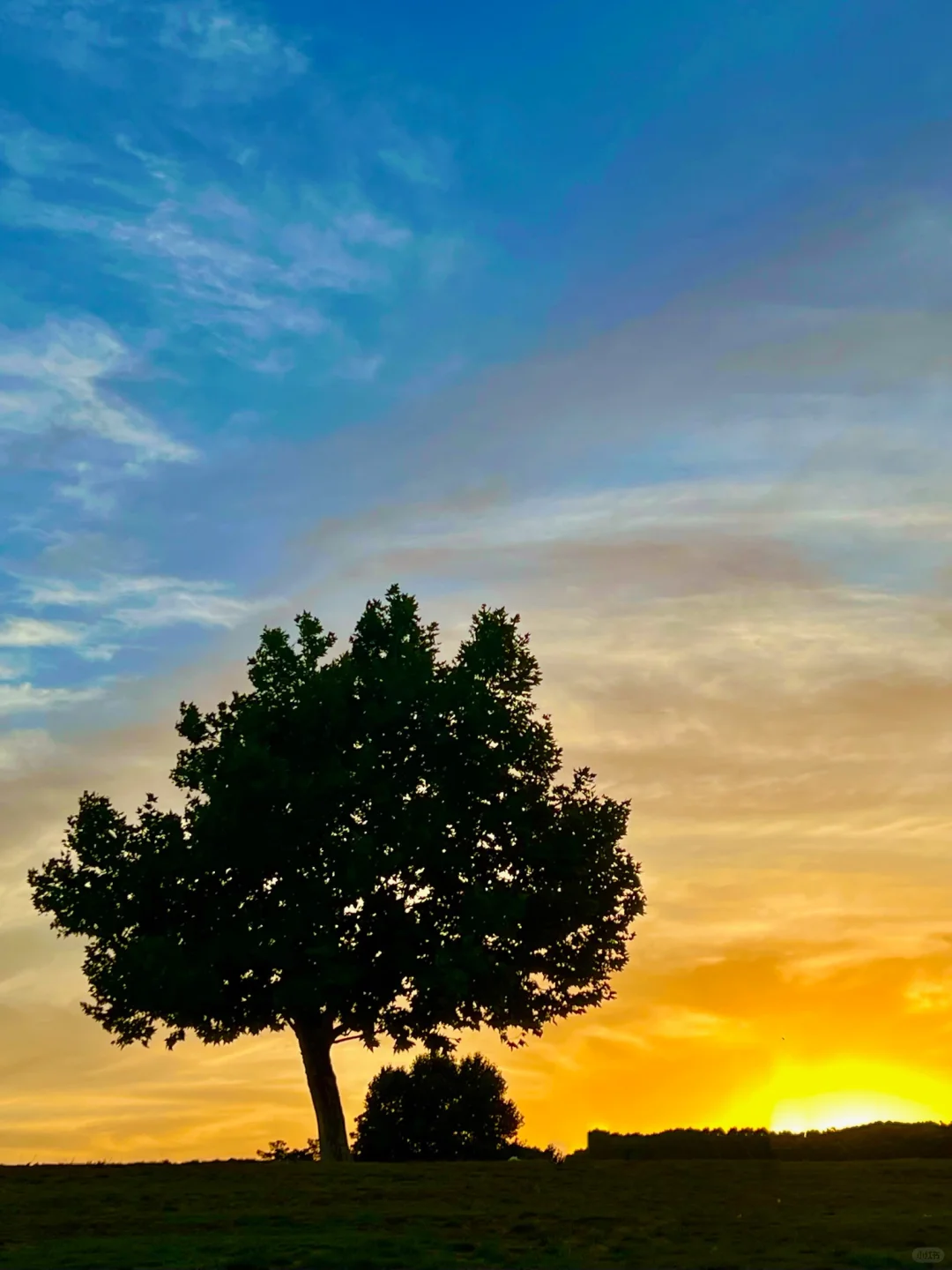 人生建议📸拍完这1️⃣8️⃣张图再离开南京