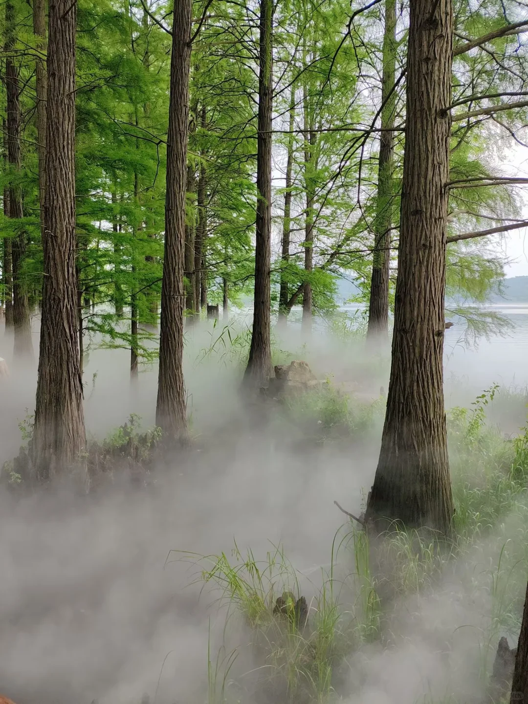 景区打卡不上班 | 邂逅落雁景区的诗意时光