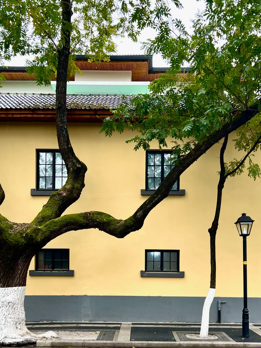 人生建议📸拍完这1️⃣8️⃣张图再离开南京