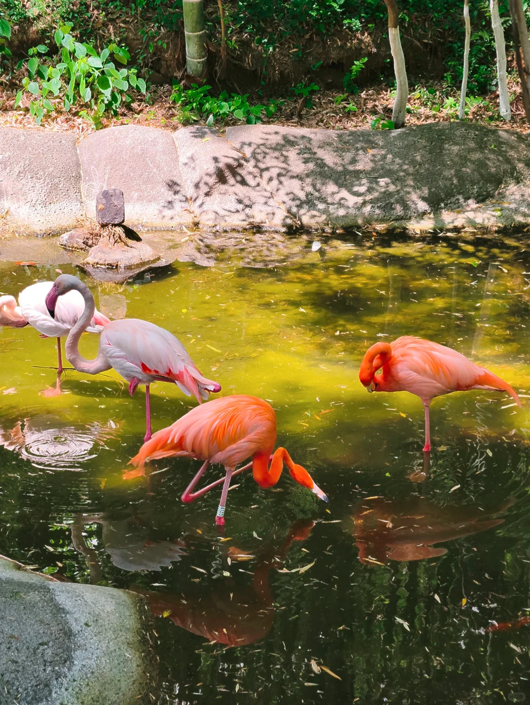 江苏旅游攻略之常州溧阳“天目湖南山竹海”