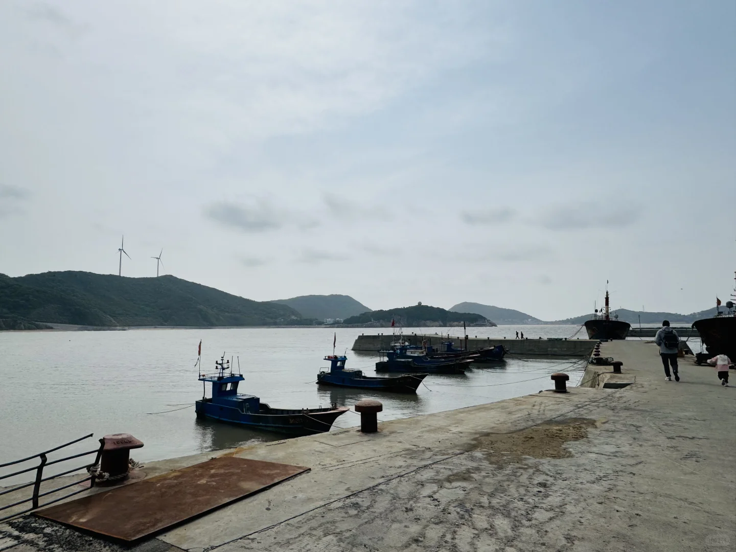 误入童话里的绿野仙踪🏝️衢山岛攻略请查收