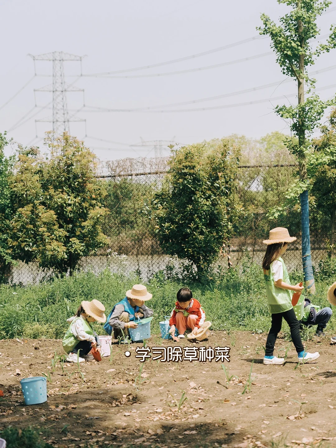 别再问乌村值不值得去了，真实体验过才知道