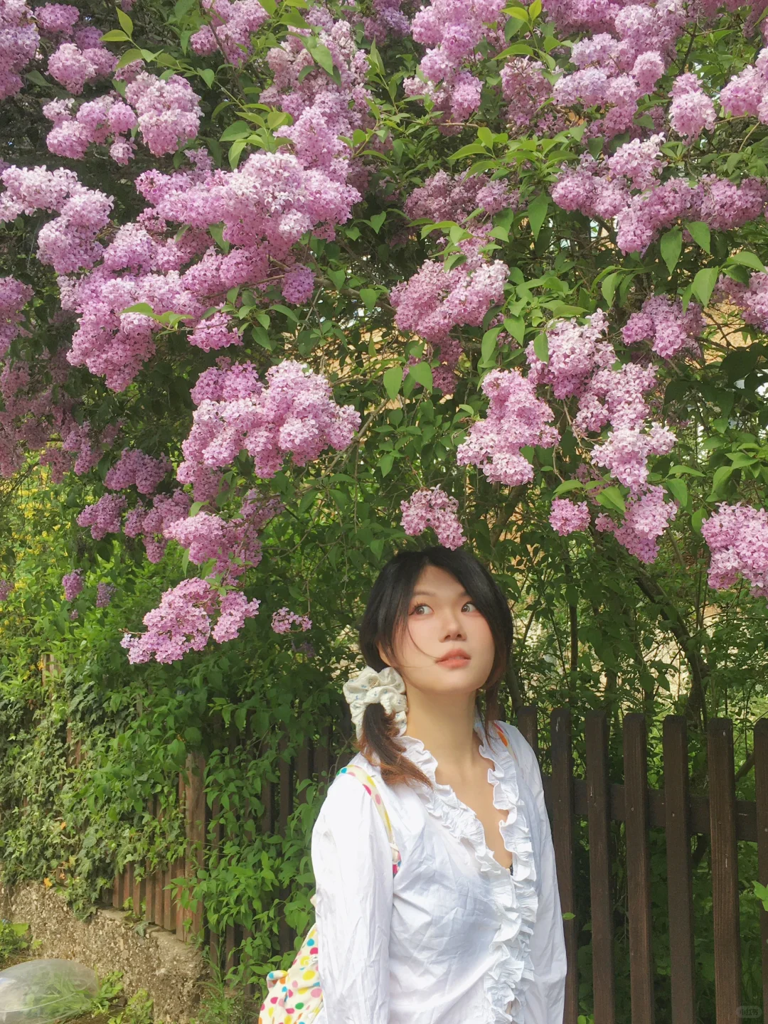 愿意为这一片草地来一万次魏玛