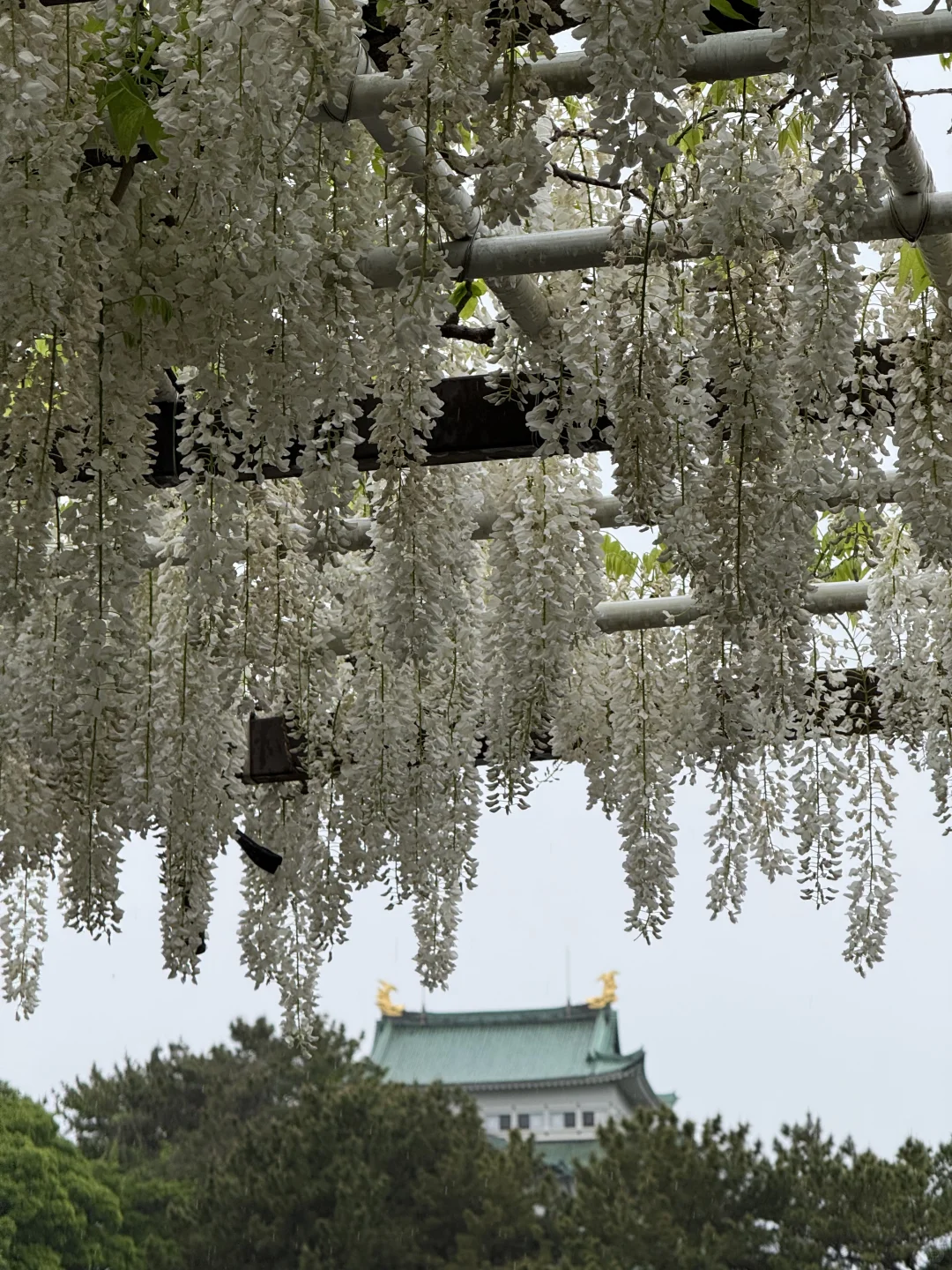名古屋唯一去成的景点
