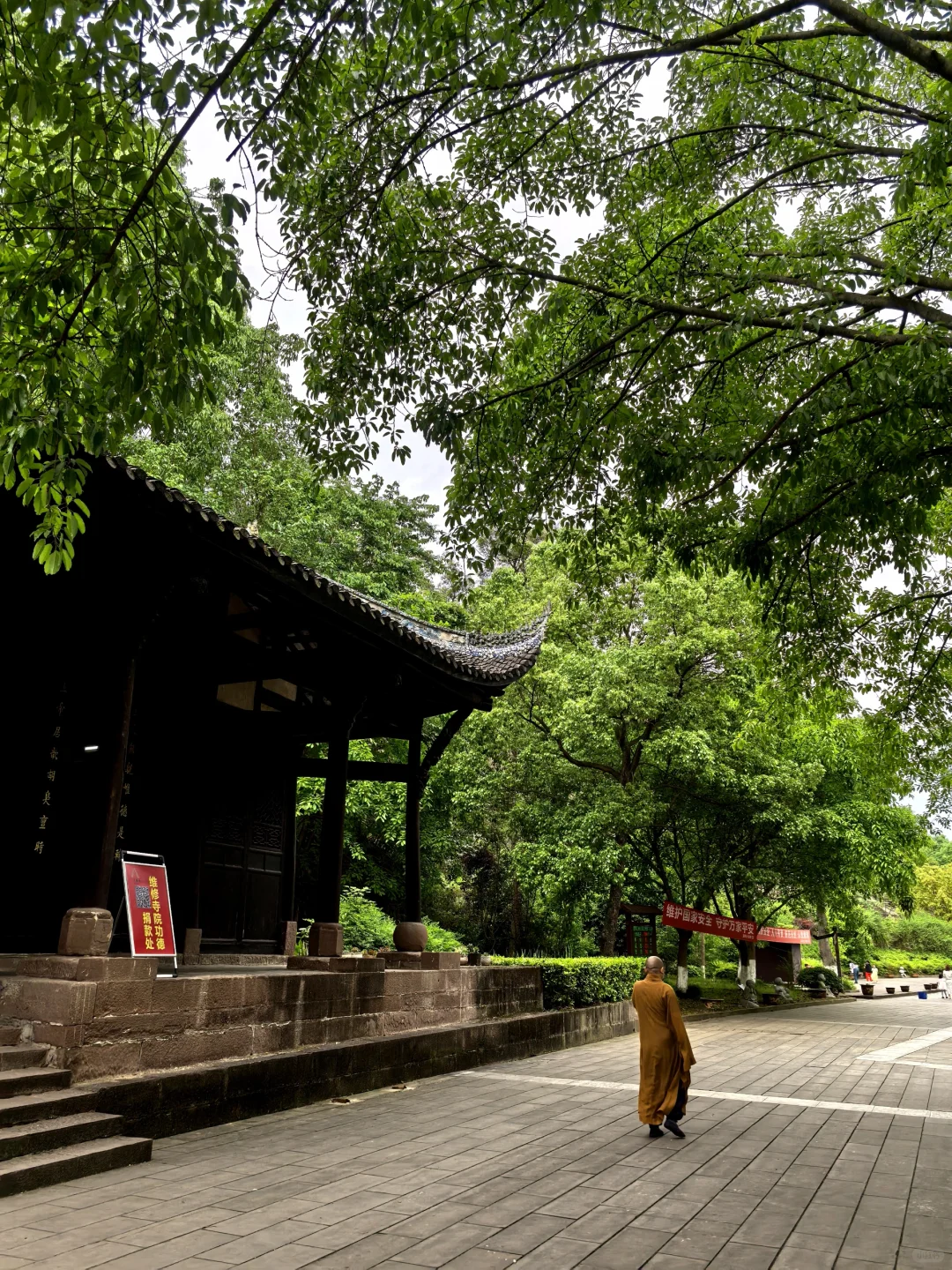 冷门小城🚅直达：世界最大金佛+千年古镇