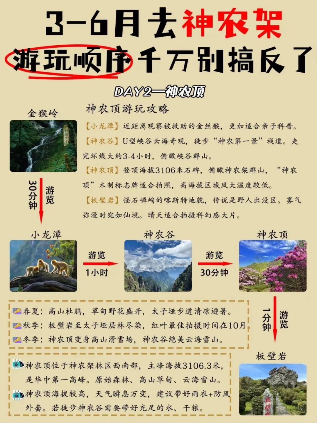 原始森林地质与奇观