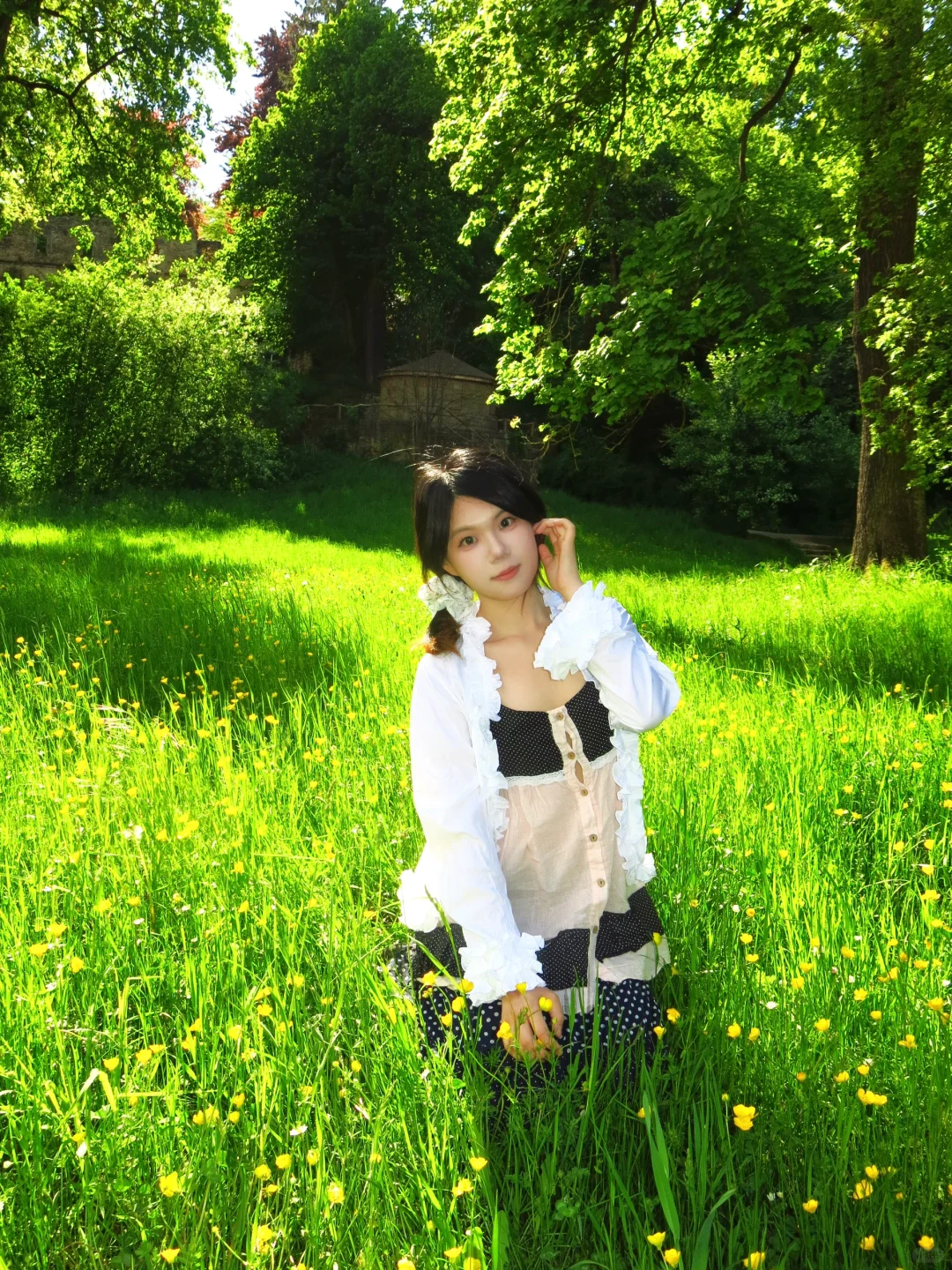 愿意为这一片草地来一万次魏玛