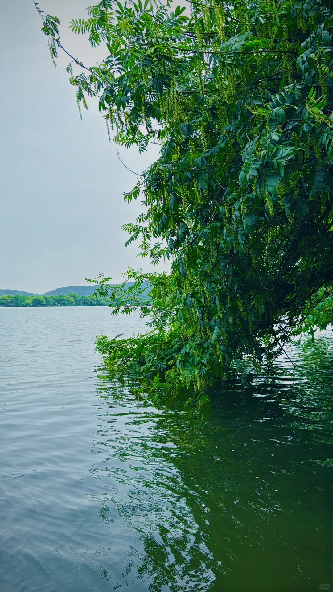 2025年5月4日在杭州的一天，打卡6个网红景点