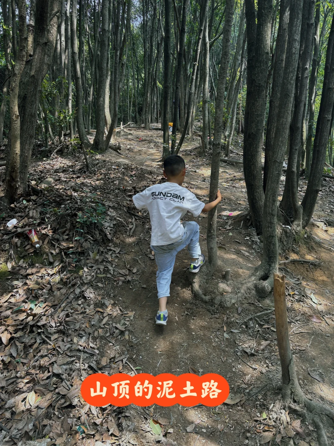 每周一山‼️大金华市内藏有峡谷瀑布悬空栈道