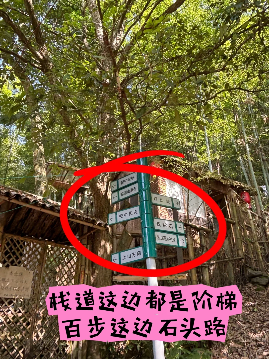 每周一山‼️大金华市内藏有峡谷瀑布悬空栈道