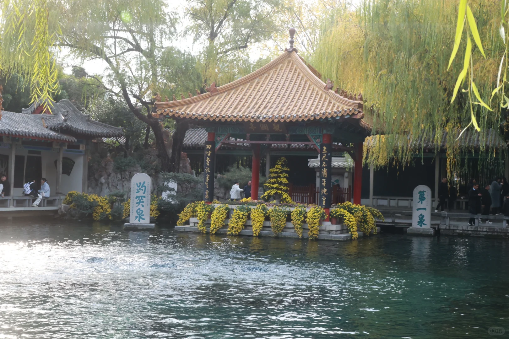 【趵突泉拍照攻略📸】get泉水边的氛围感大片