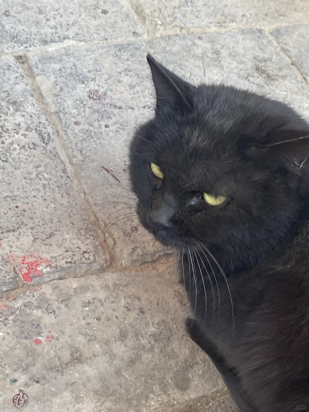 那些年看过的古建～