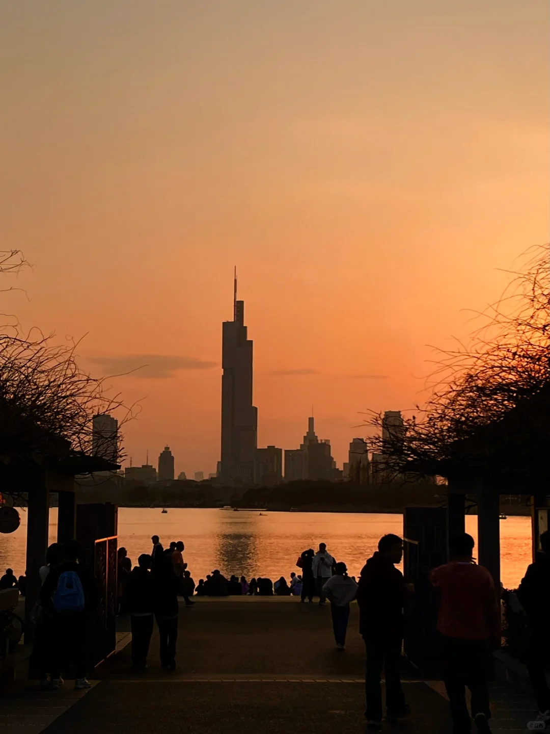 人生建议📸拍完这1️⃣8️⃣张图再离开南京