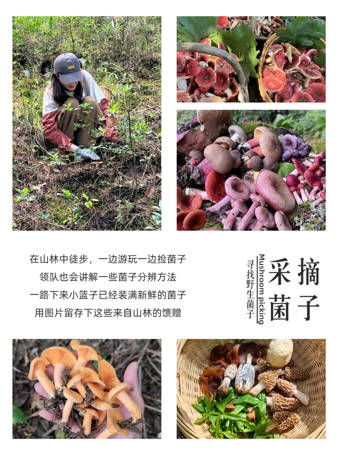 被问爆了❗定制行程⭕体验川西的极致美学