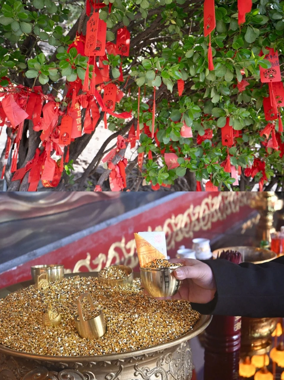 邯郸旅行9 个超火打卡地！拍照+人文全拿捏