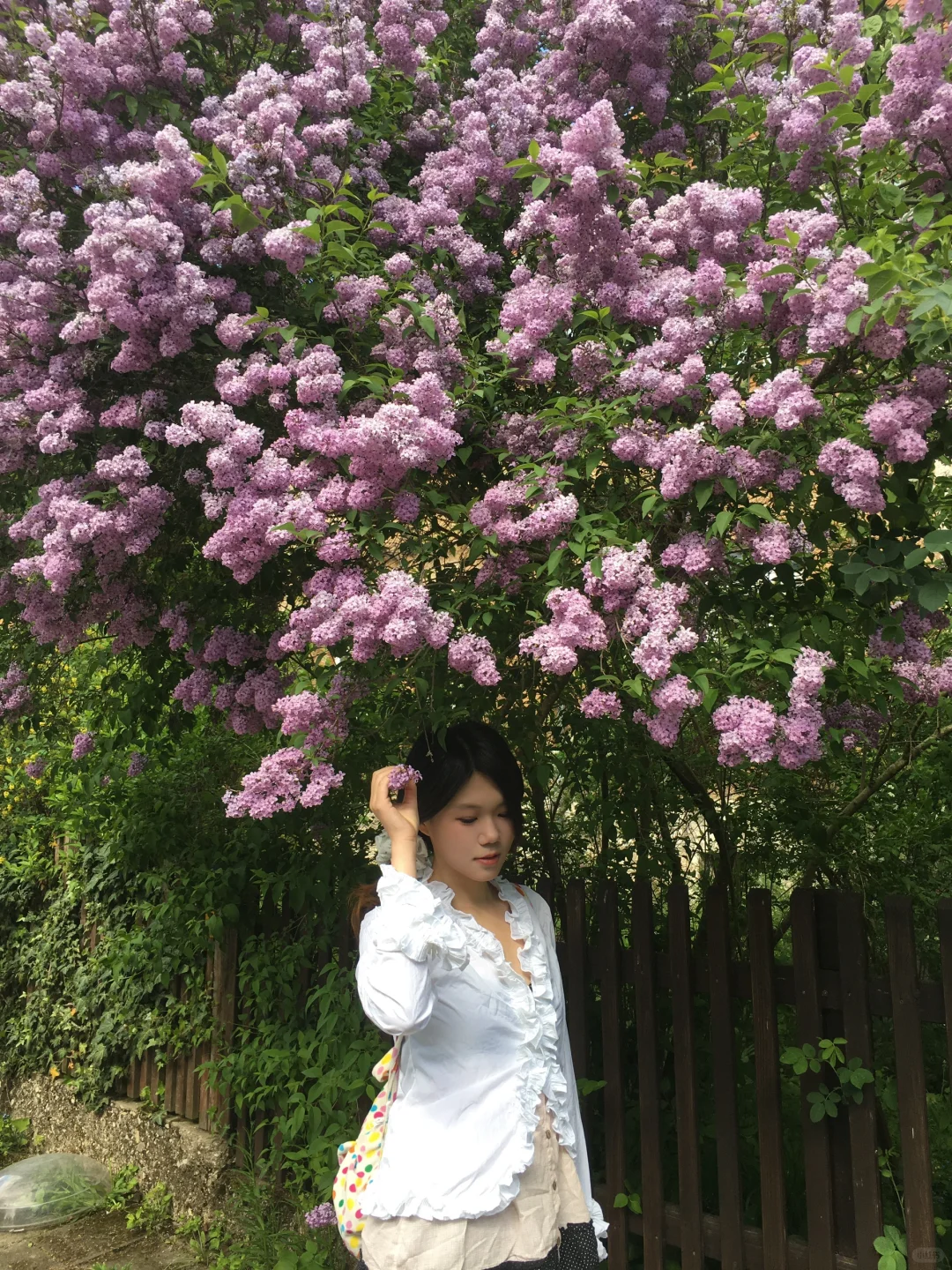 愿意为这一片草地来一万次魏玛