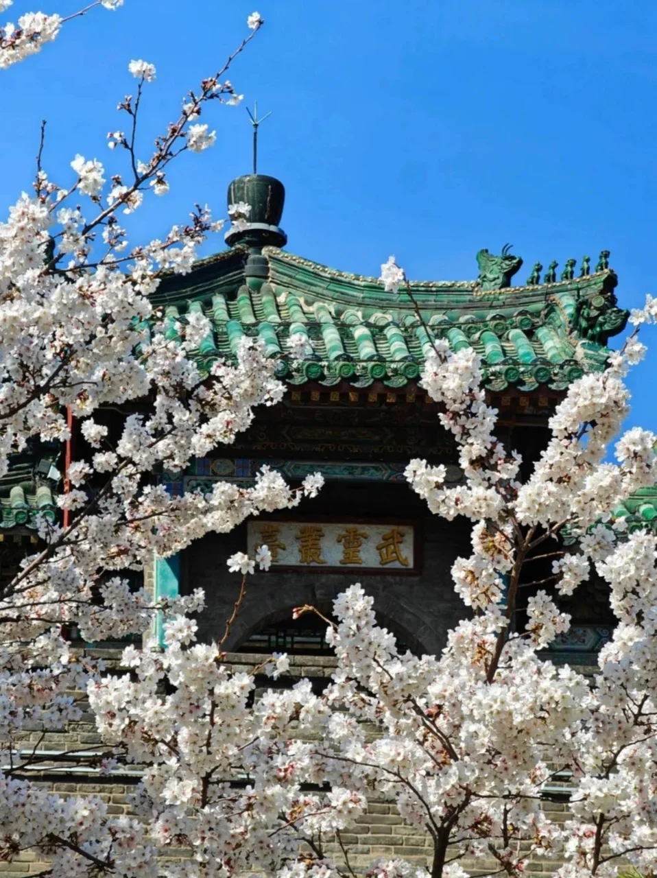 邯郸旅游｜9 个宝藏景点，承包你的诗与远方