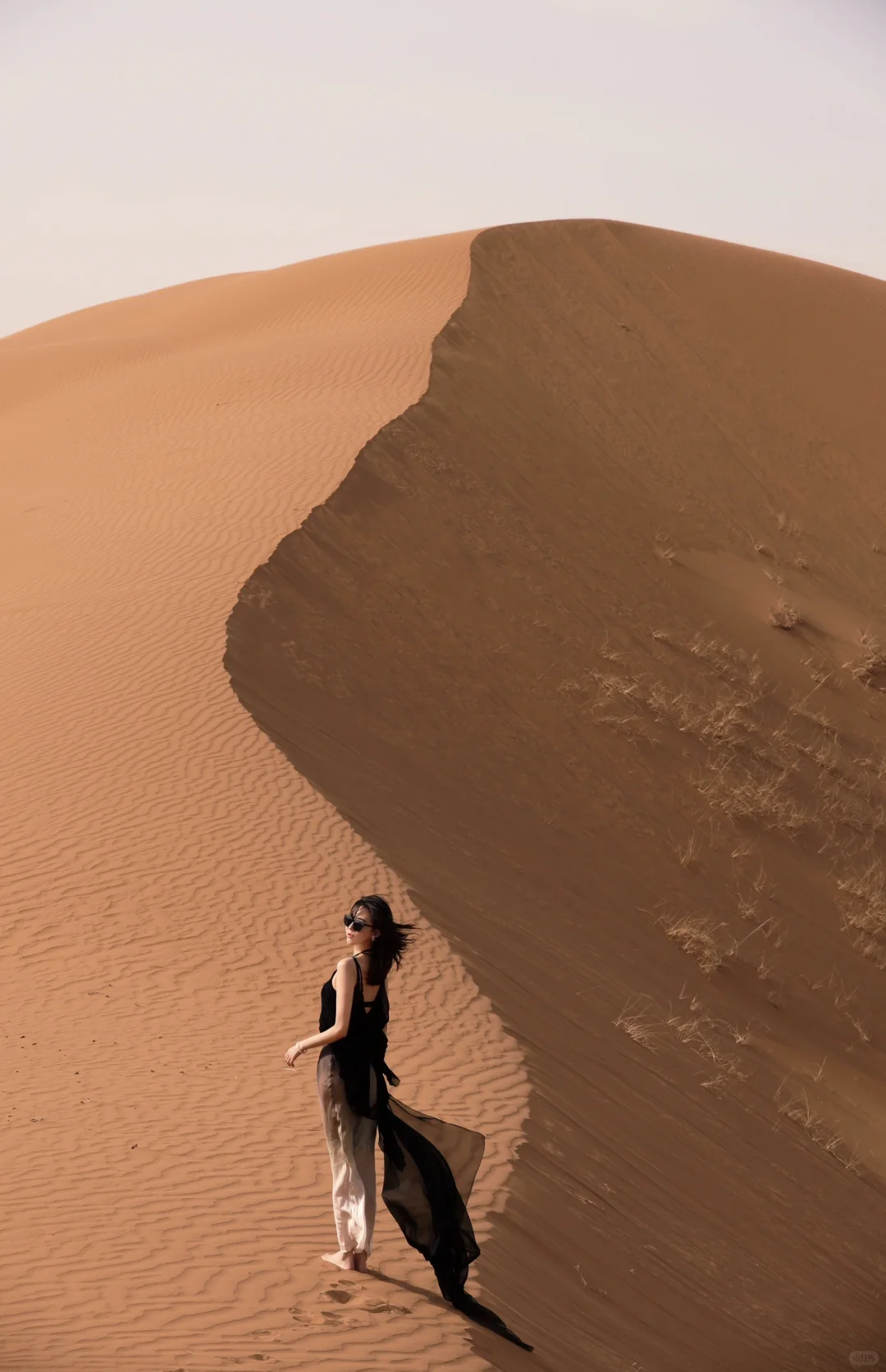 我的沙漠日记💃🐫
