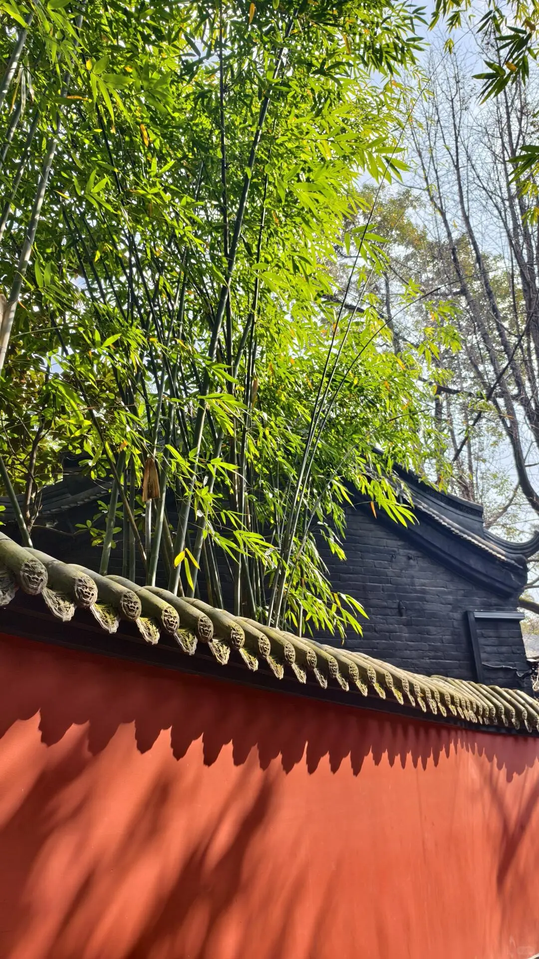 三月三去哪里玩？当然是四川成都啦