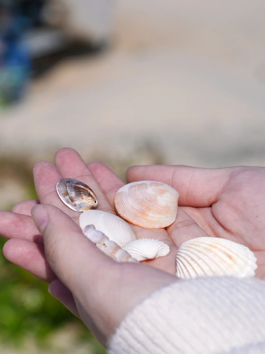 我宣布，汕尾是最适合旅游的海滨城市！