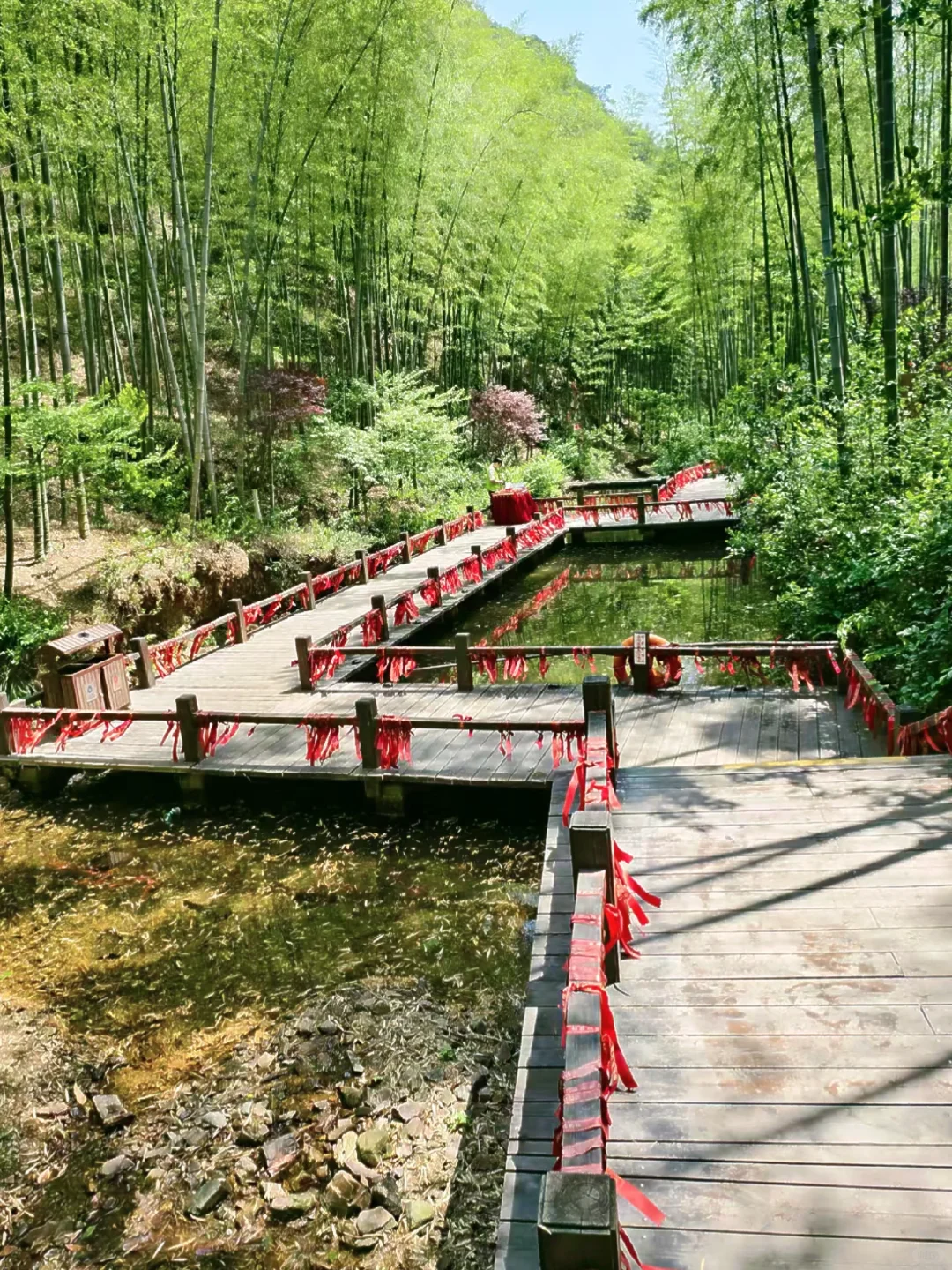 江苏旅游攻略之常州溧阳“天目湖南山竹海”