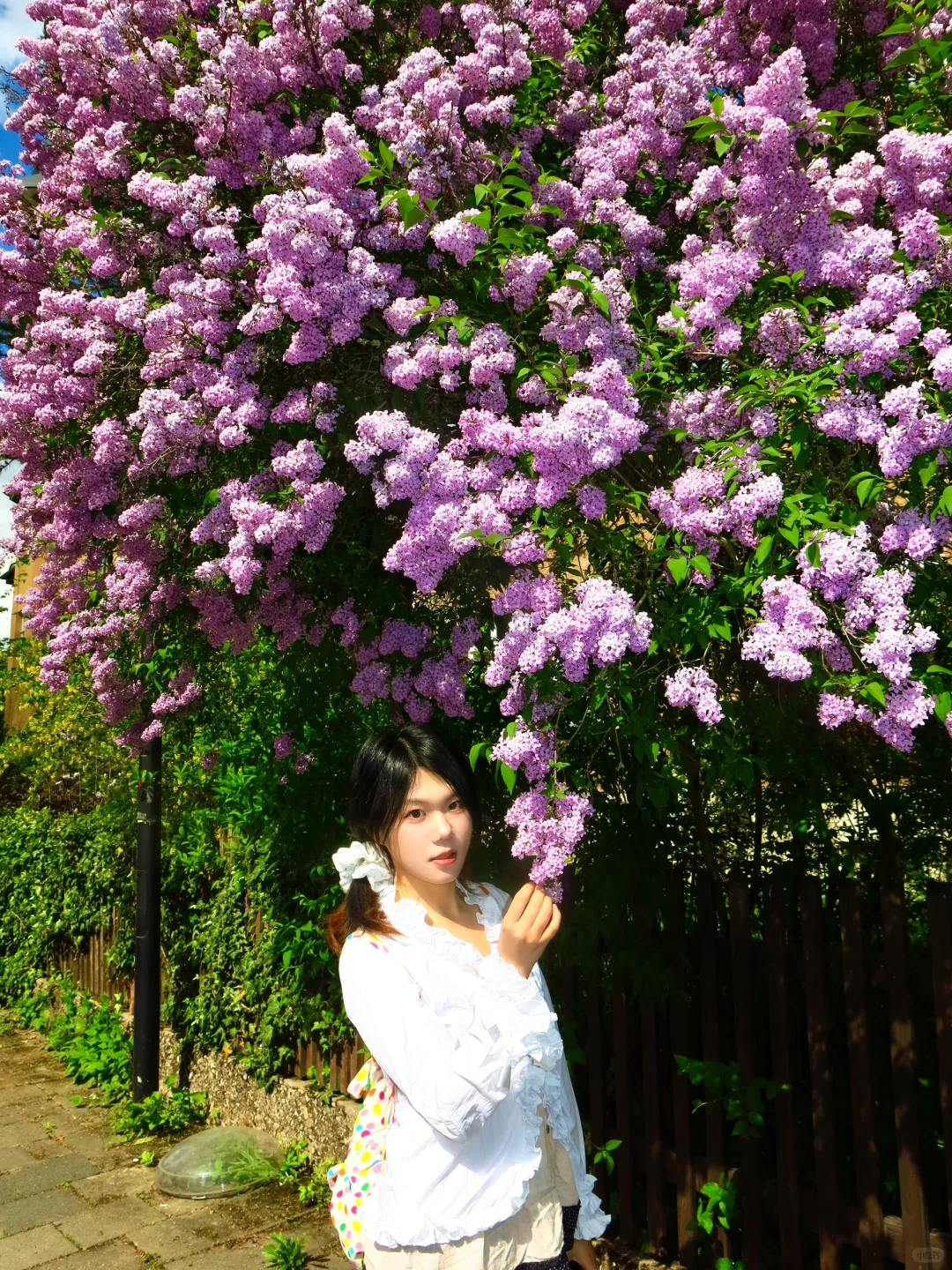 愿意为这一片草地来一万次魏玛