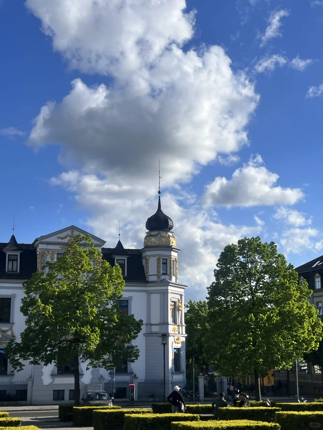 愿意为这一片草地来一万次魏玛