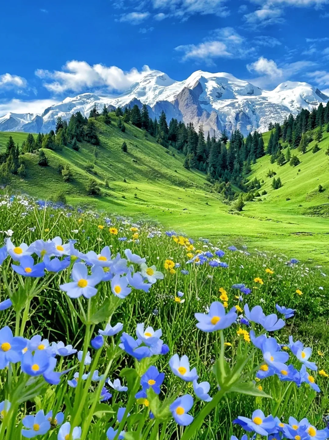 pyq都问疯了，川西爆火线路😭完全不输新疆