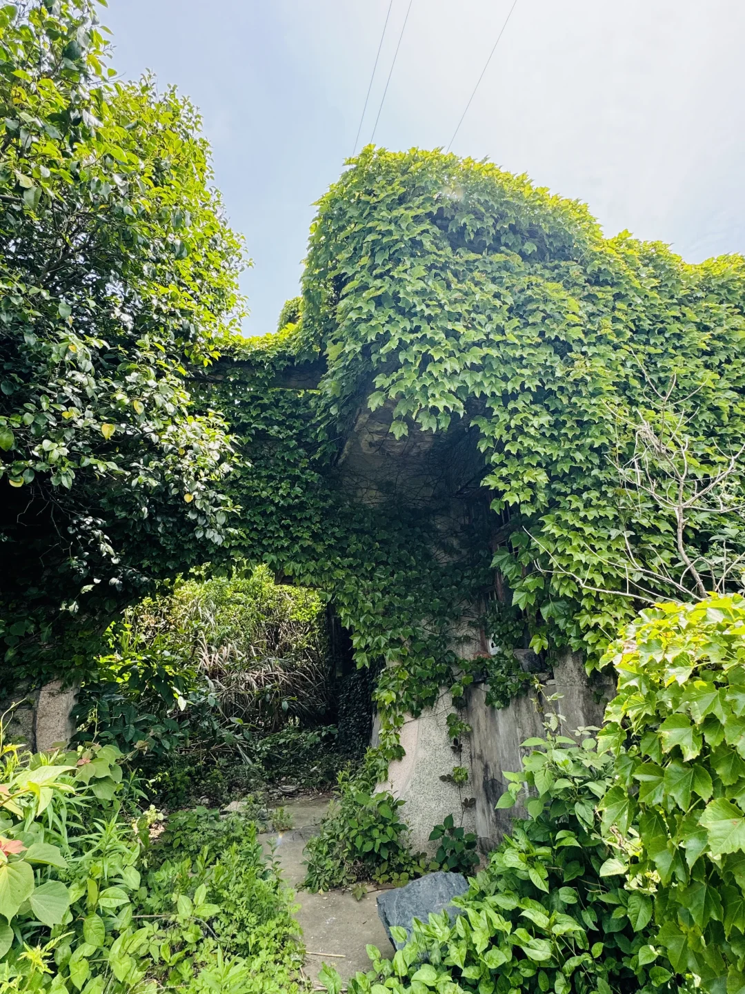 误入童话里的绿野仙踪🏝️衢山岛攻略请查收