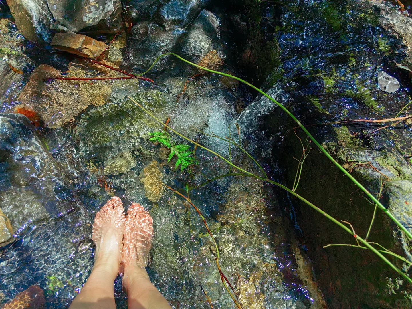 一个人旅游真的好爽