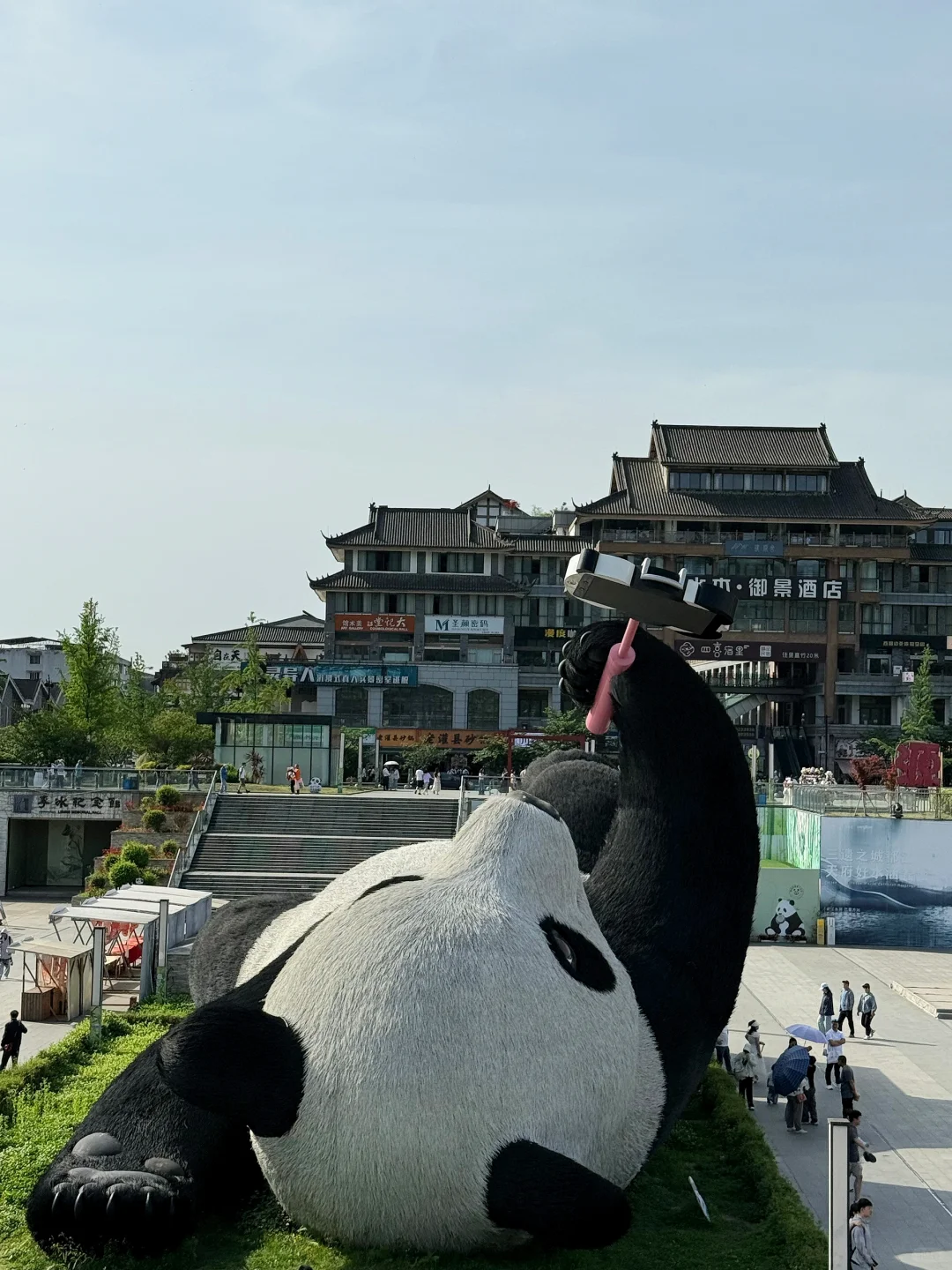 🆘…最近真心劝大家别再直接去都江堰熊猫谷