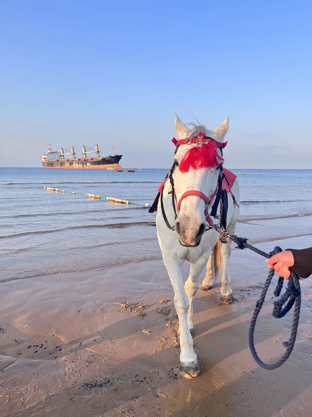 五一当然要去看海啦！