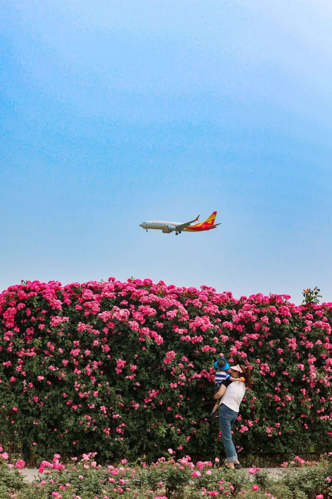 西安0.5h 超大的免费花海！飞机同框 ✈️