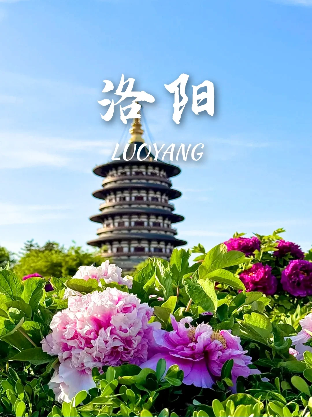 人均500+💰！节后节后反向出游推荐