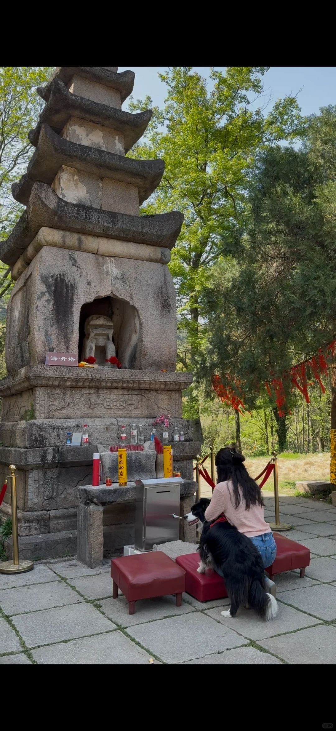 带狗自驾第十站之池州｜处处景色都很漂亮