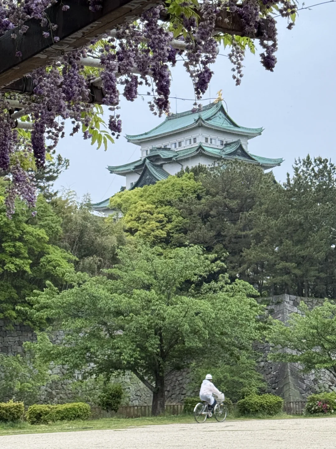 名古屋唯一去成的景点