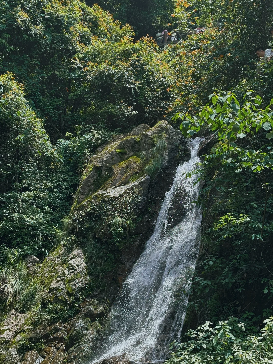 每周一山‼️大金华市内藏有峡谷瀑布悬空栈道