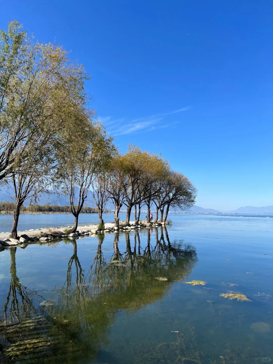 🍃云南夏日暴走指南5-7月预算党必备路线