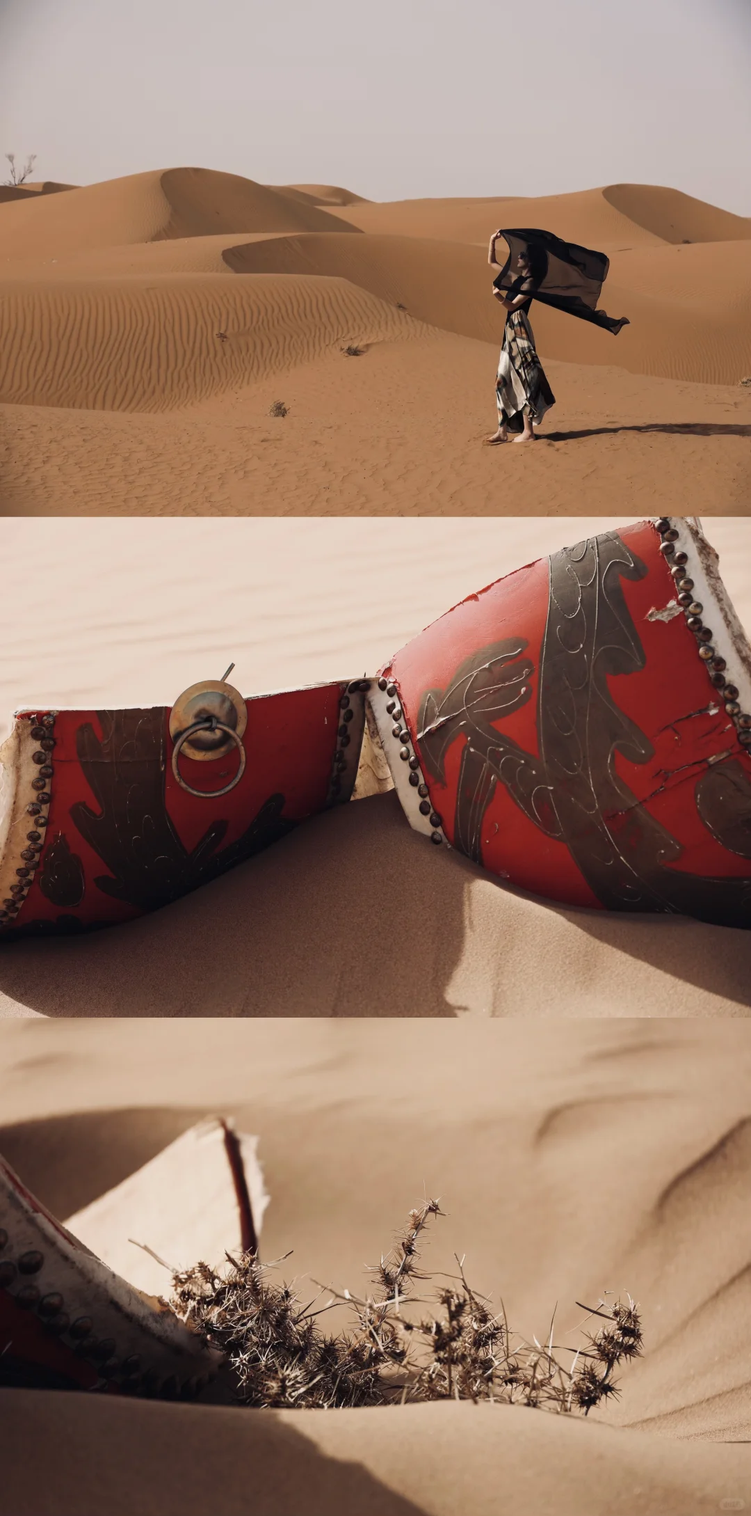 我的沙漠日记💃🐫