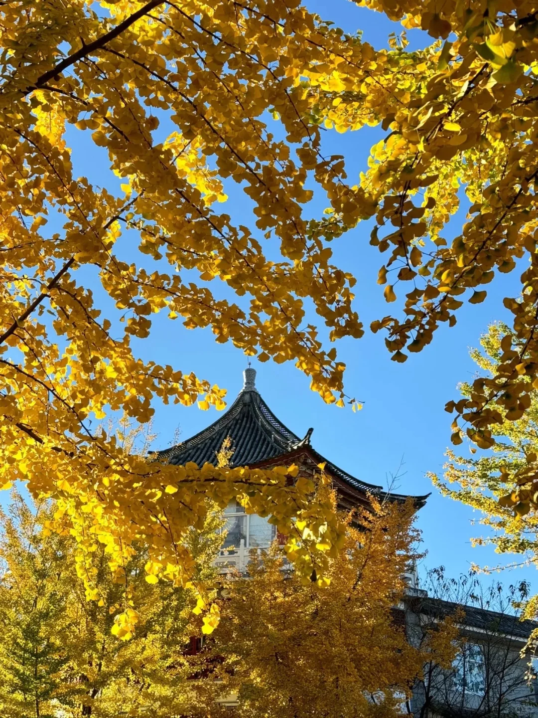 🍃云南夏日暴走指南5-7月预算党必备路线