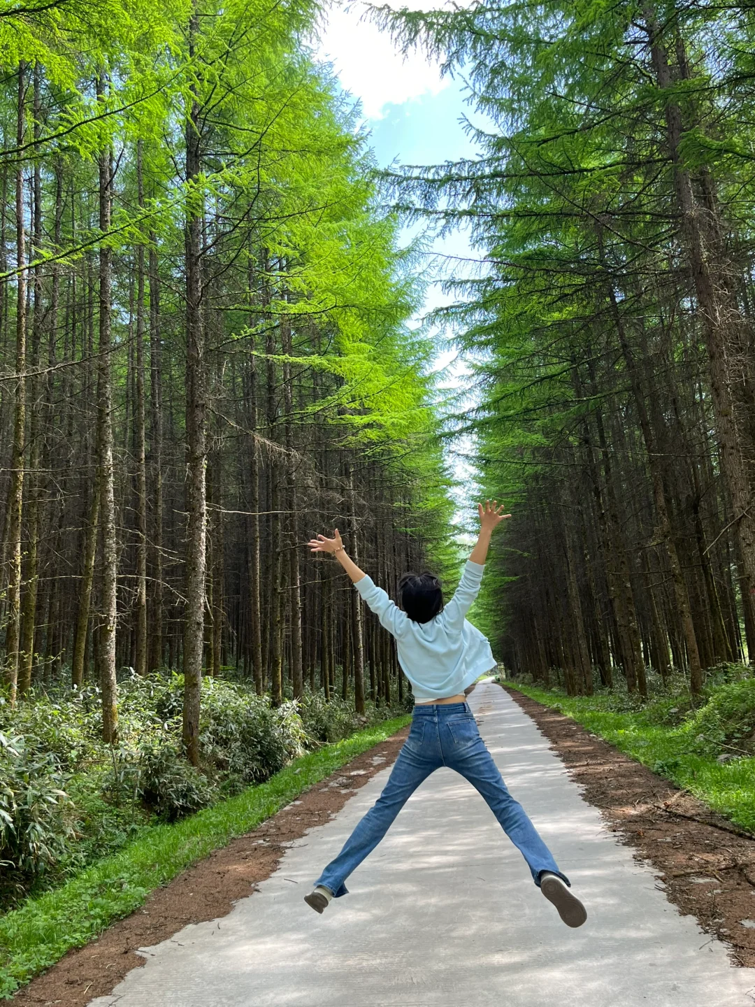 光雾山｜藏在深山的5A级景区⛰️