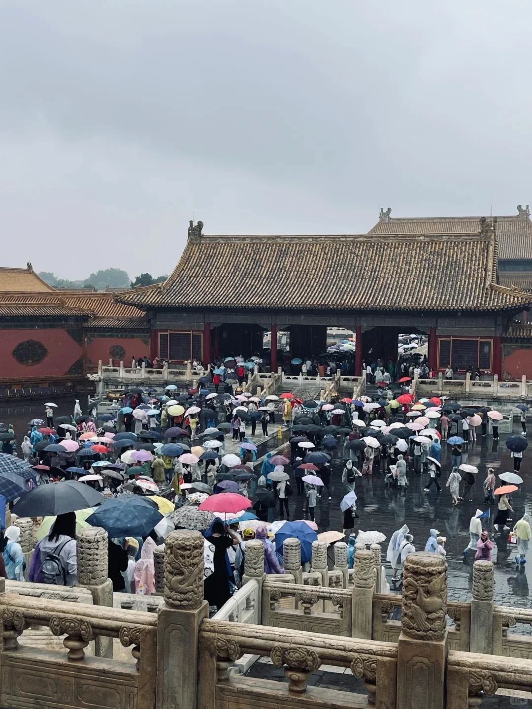 5.9🎈故宫下雨实况，要淋崩溃了😱