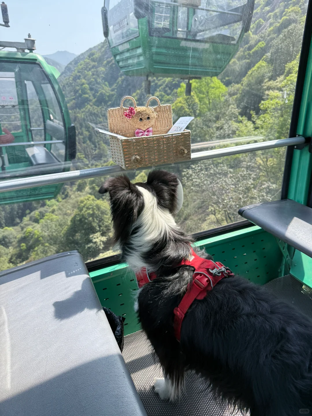 带狗自驾第十站之池州｜处处景色都很漂亮