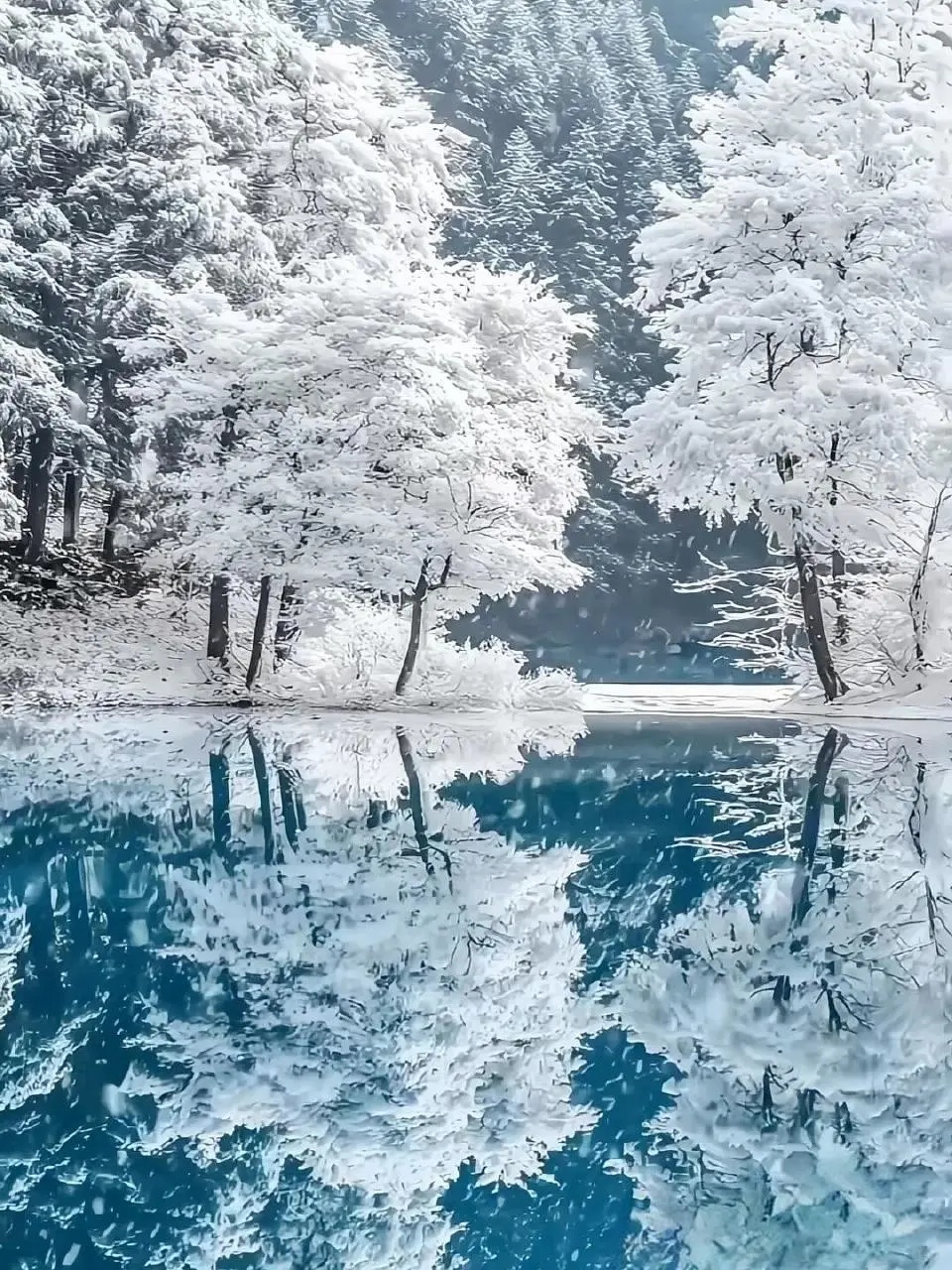 ⛰️川西秘境！此生必去的绝美旅行地