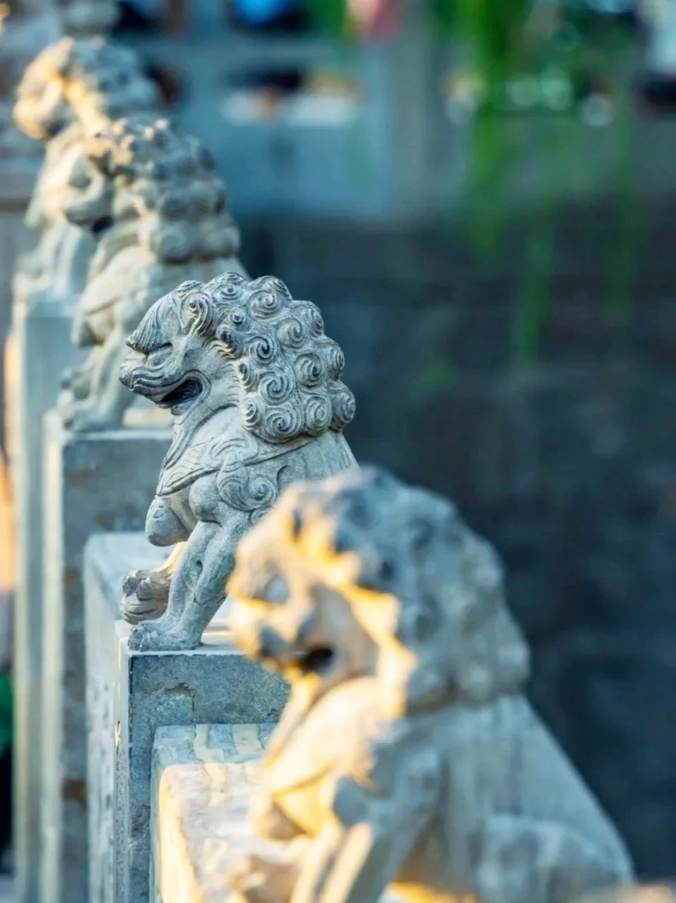 五一冲邯郸！9 个宝藏景点攻略，错过血亏！