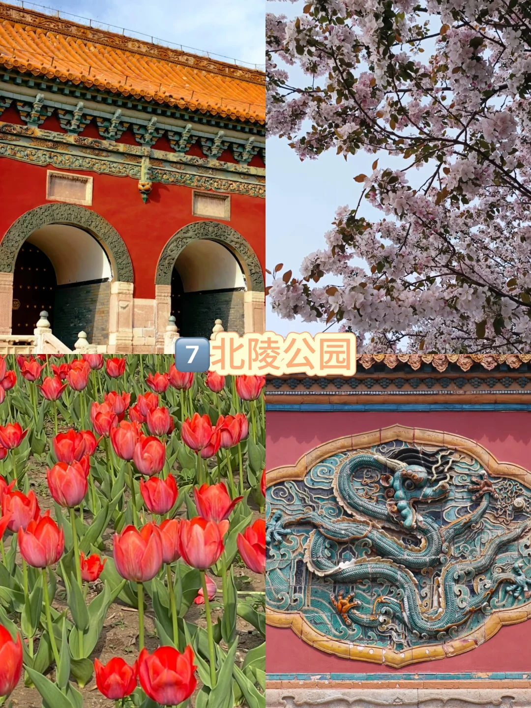 沈阳必去9大景点‼️本地人整理版💡