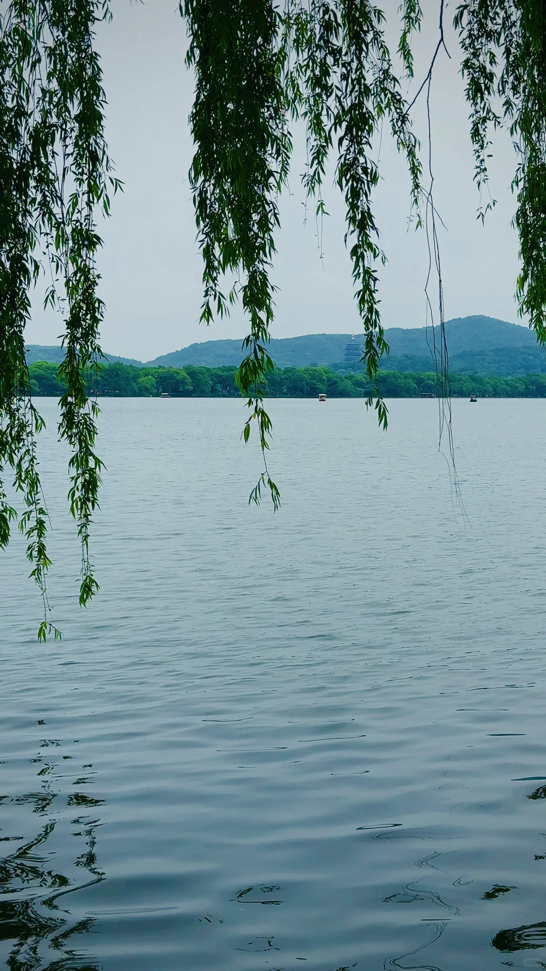 2025年5月4日在杭州的一天，打卡6个网红景点