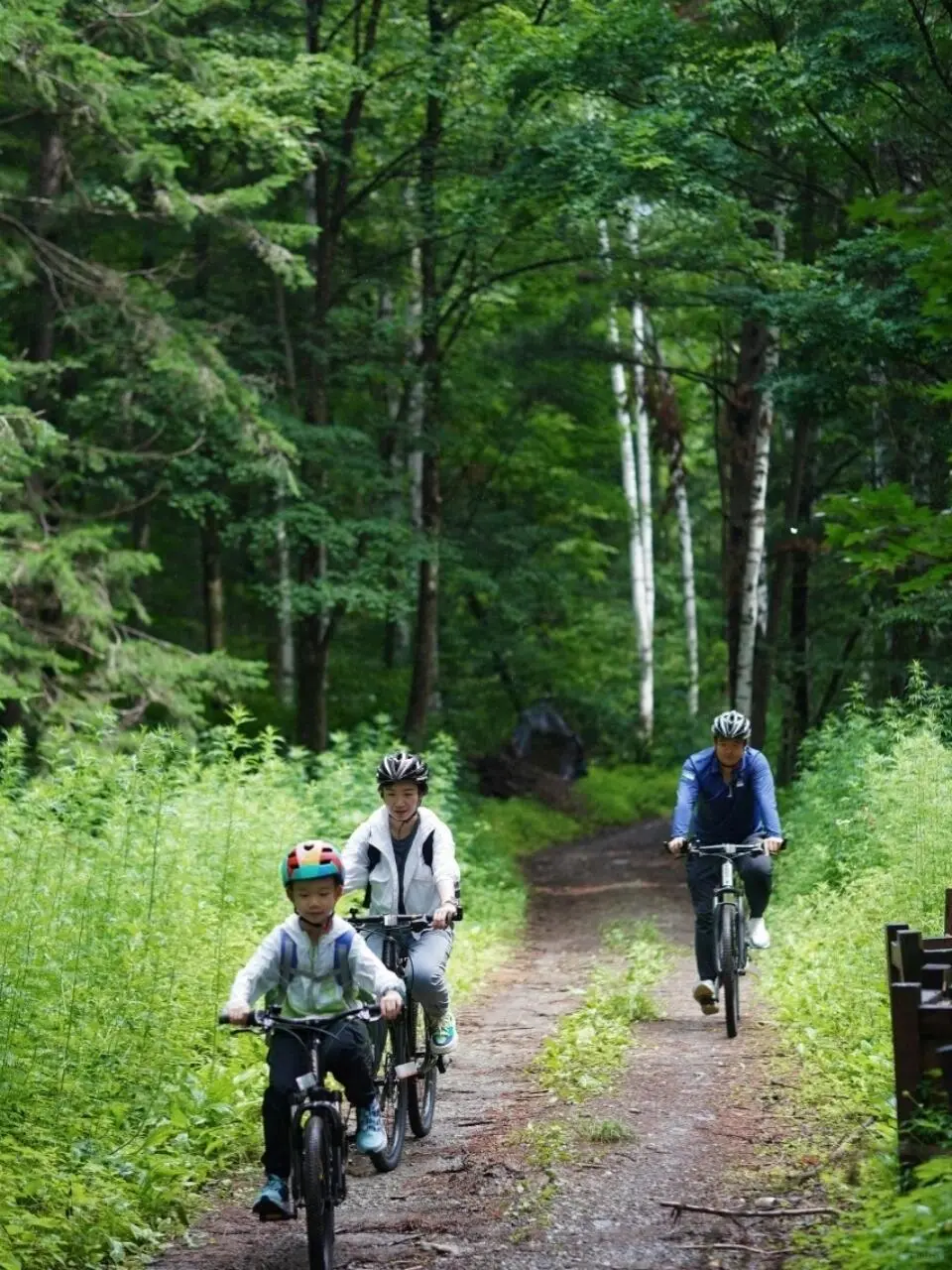 今年暑假，我只带娃去一个地方：伊春🥳
